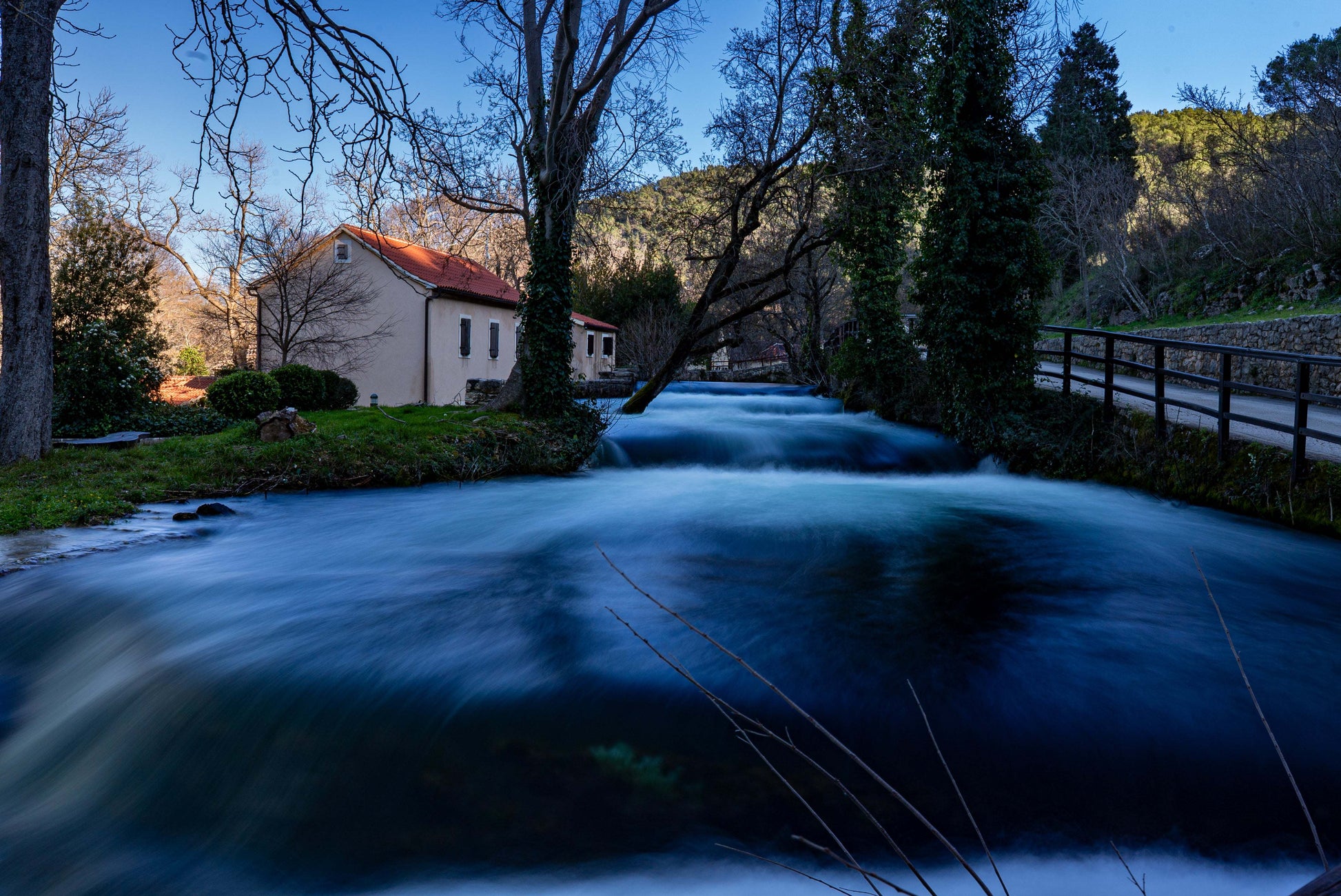 Lush Riverbank A2 - Vibrant Decor for Nature Enthusiasts