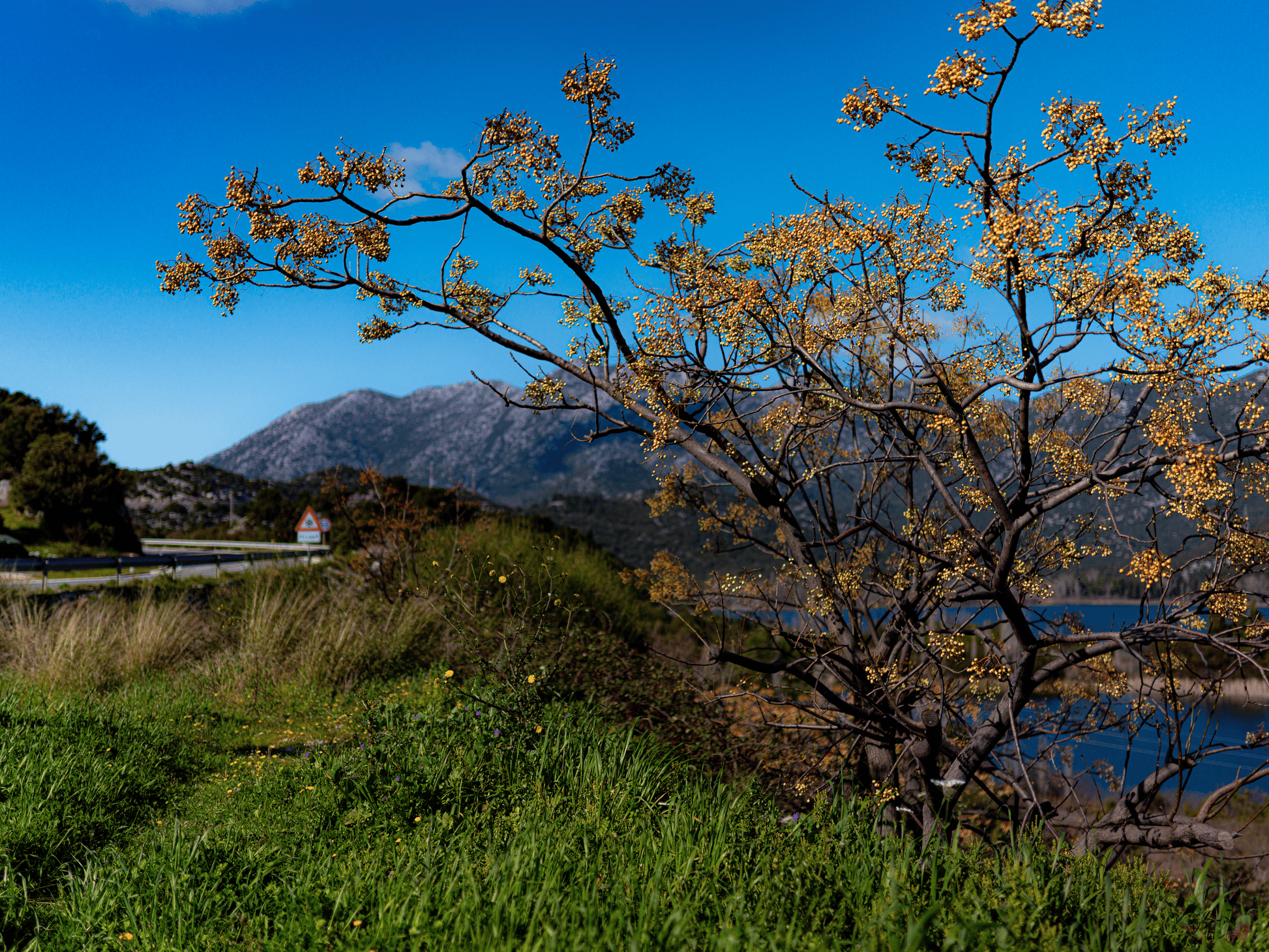 Lakeside Whispers A3